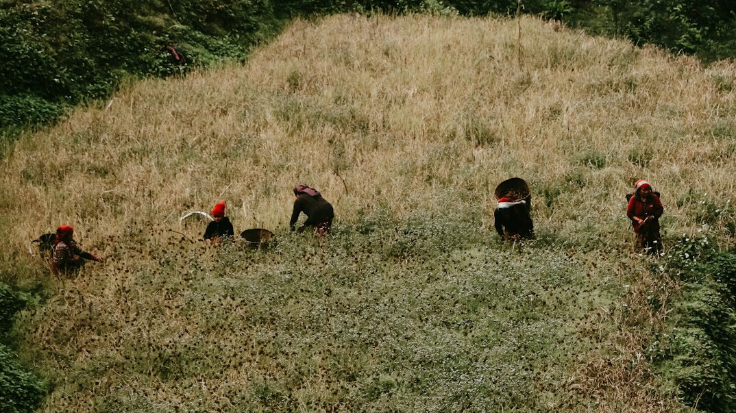 investigators in field
